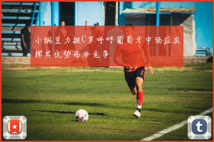 小豌豆力挺C罗呼吁葡萄牙中场应发挥其优势而非竞争